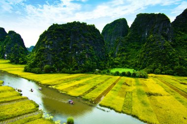 Ngodong Nehri düşünce pirinç tarlaları Ninh Binh, Vietnam.