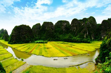 Ngodong Nehri düşünce pirinç tarlaları Ninh Binh, Vietnam.
