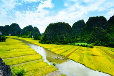 Ngodong Nehri düşünce pirinç tarlaları Ninh Binh, Vietnam.