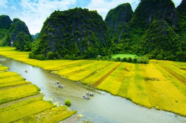 Ngodong Nehri düşünce pirinç tarlaları Ninh Binh, Vietnam.
