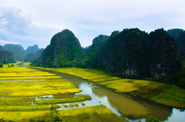 Ngodong řeka přes rýžová pole v Ninh Binh, Vietnam. — Stock fotografie