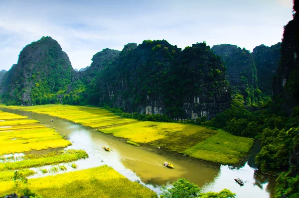 Ngodong folyó gondolta rizsföldek Ninh Binh, Vietnam. — Stock Fotó