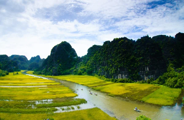 Ngodong řeka přes rýžová pole v Ninh Binh, Vietnam. — Stock fotografie