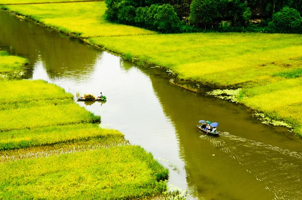 Río NgoDong a través de campos de arroz en Ninh Binh, Vietnam . —  Fotos de Stock