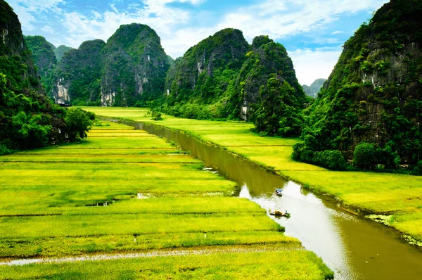 Ngodong Nehri düşünce pirinç tarlaları Ninh Binh, Vietnam.