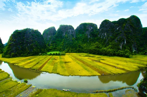 Ngodong řeka přes rýžová pole v Ninh Binh, Vietnam. — Stock fotografie