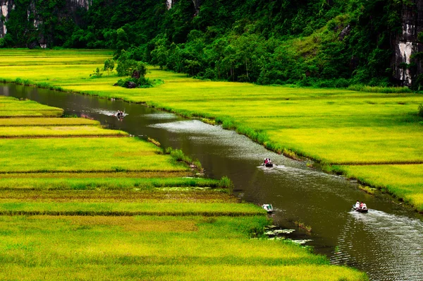 NgoDong river throught rice fields in Ninh Binh, Vietnam. — Stock Photo, Image