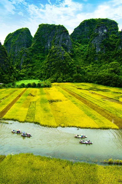 Ngodong ποτάμι μέσα από ορυζώνες στο Binh Νιν, Βιετνάμ. — Φωτογραφία Αρχείου