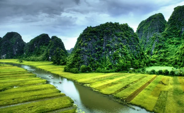 宁平，越南 Ngodong 河穿过稻田. 免版税图库图片