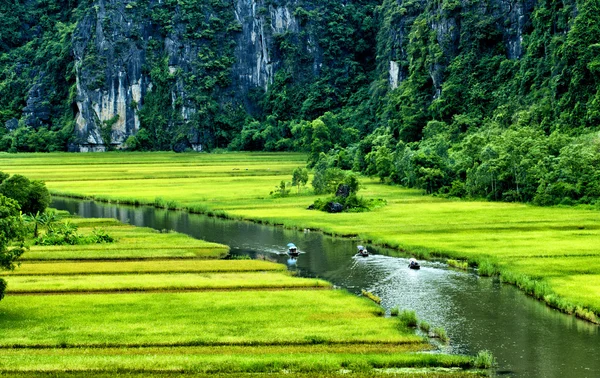 Ngodong folyó gondolta rizsföldek Ninh Binh, Vietnam. Jogdíjmentes Stock Fotók