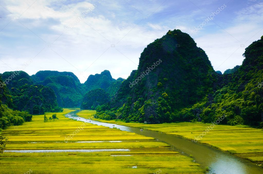 NgoDong river throught rice fields in Ninh Binh, Vietnam.