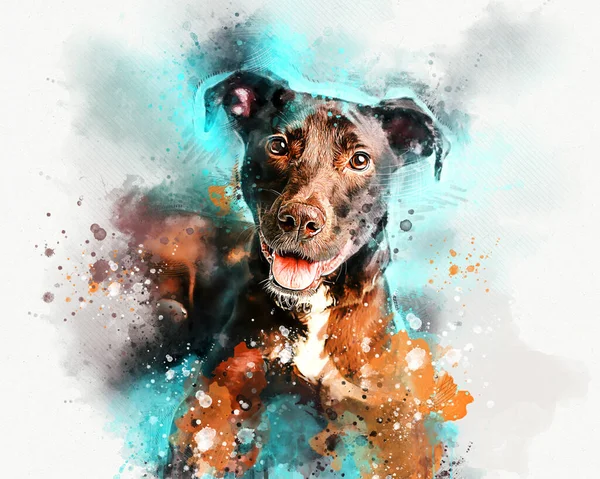 Watercolor Portrait of Pit Bull Terrier. Hand drawn digital water color painting.