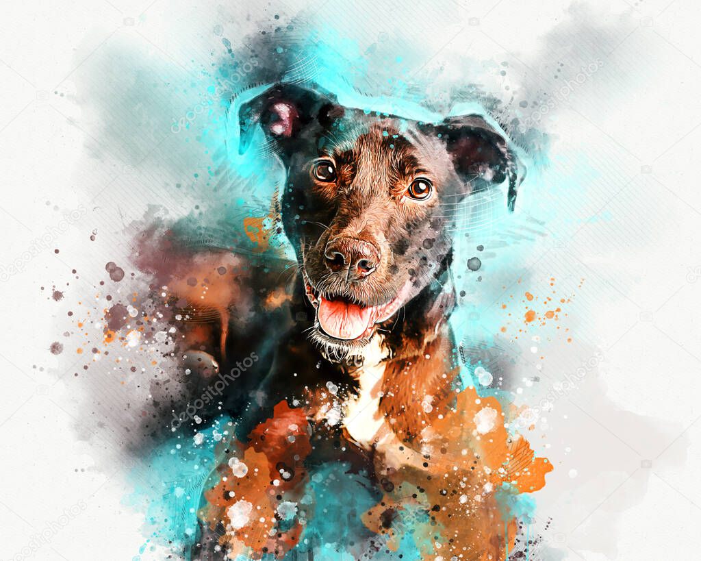 Watercolor Portrait of Pit Bull Terrier. Hand drawn digital water color painting.