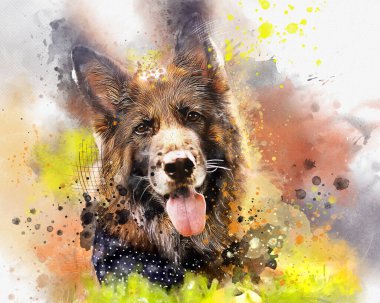 Watercolor portrait of German Shepherd dog. Hand drawn digital water color painting.