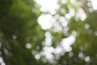 Yeşil doğal renkli