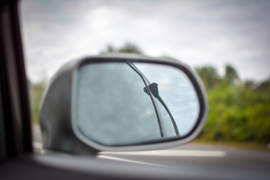 Burun pencereden dışarı birlikte arabaya binme Köpek