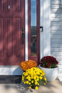 Decorating with Fall Mums Outdoors. Colorful fall flowers that come in every color.