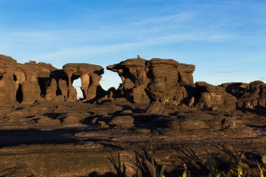 Kaya oluşumları, Roraima Dağı, Canaima Ulusal Parkı.