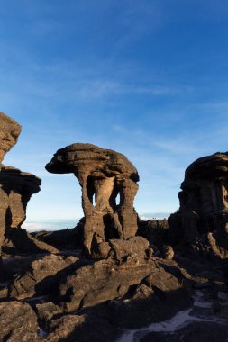 Kaya oluşumları, Roraima Dağı, Canaima Ulusal Parkı.