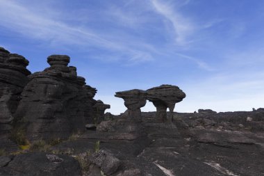 Kaya oluşumları, Roraima Dağı, Canaima Ulusal Parkı.