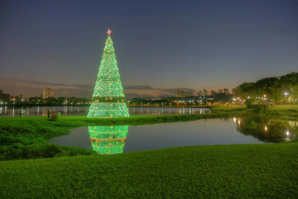 Curitiba Parana Brezilya 'daki Barigui parkında Noel ağacı.