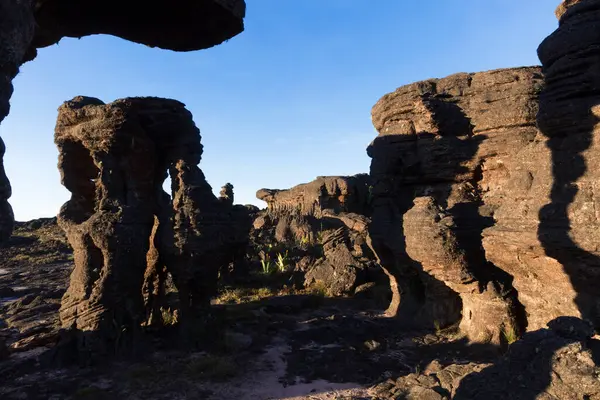 Kaya oluşumları, Roraima Dağı, Canaima Ulusal Parkı.