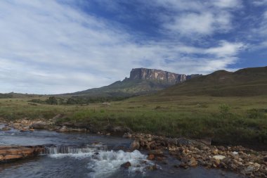 Venezuela 'daki Kukenan-tepui ve Tek Nehri - Canaima Ulusal Parkı.