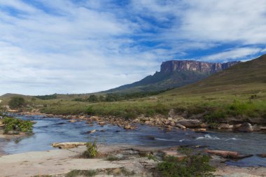Venezuela 'daki Kukenan-tepui ve Tek Nehri - Canaima Ulusal Parkı.