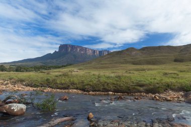 Venezuela 'daki Kukenan-tepui ve Tek Nehri - Canaima Ulusal Parkı.