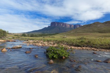 Venezuela 'daki Kukenan-tepui ve Tek Nehri - Canaima Ulusal Parkı.