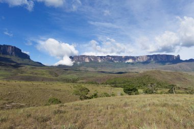 Roraima Dağı ve Kukenan Tepui, Canaima Ulusal Parkı.
