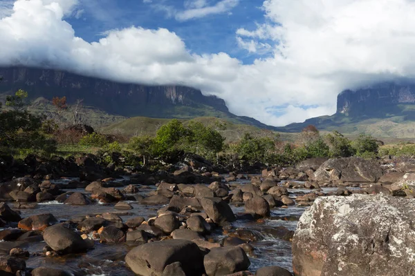 Roraima Dağı ve Kukenan Tepui, Canaima Ulusal Parkı.