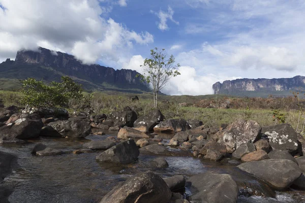 Monte Roraima Kukenan Tepui Parque Nacional Canaima — Foto de Stock