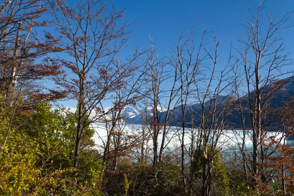 Ghiacciaio Perito Moreno Patagonia Argentina — Foto Stock