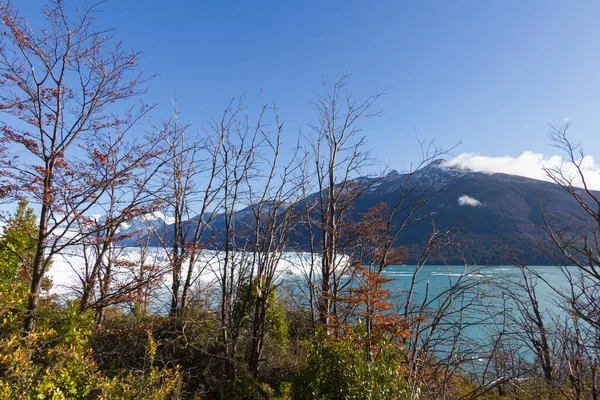 阿根廷巴塔哥尼亚的Perito Moreno冰川 — 图库照片