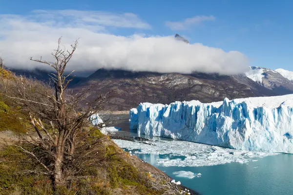 Glaciar Perito Moreno Patagonia Argentina —  Fotos de Stock