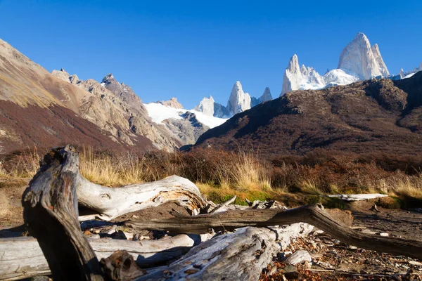 Montagna Fitz Roy Chalten Patagonia Argentina — Foto Stock
