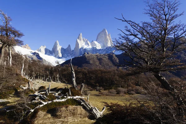 Montaña Fitz Roy Chalten Patagonia Argentina — Foto de Stock