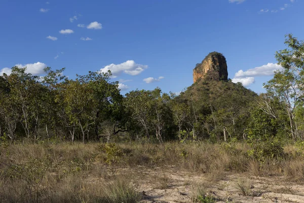 Chapada das Mesas in Maranho Brazil, Brazilya cerrado.