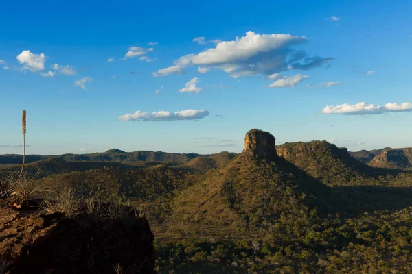 Chapada Das Mesas Maranho Brasile Cerrado Brasiliano — Foto Stock