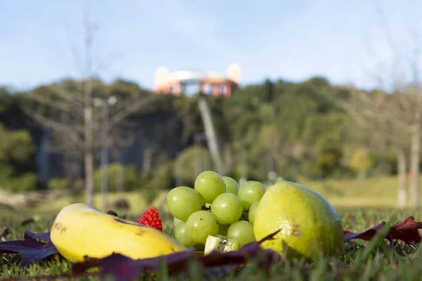 Picknick Met Fruit Tangua Park Curitiba Parana Brazilië — Stockfoto