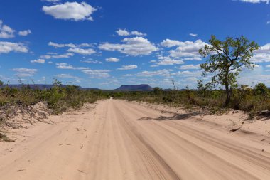 Jalapao Eyalet Parkı 'nda kum yolu.