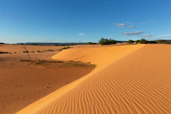 Mateiros City yakınlarındaki Jalapo Eyalet Parkı 'nda kum tepeleri.