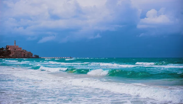 Jaffa - Paysage. Israël . — Photo