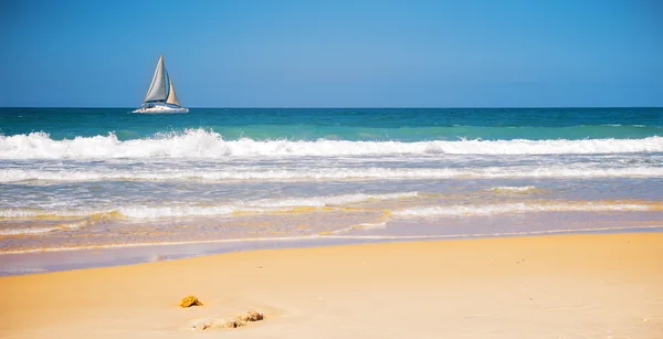 Jachtverhuur in zee in de buurt van de kust — Stockfoto