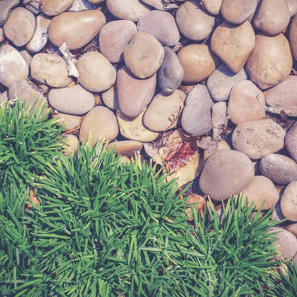 草地和石头 （老式滤镜效果使用) — 图库照片