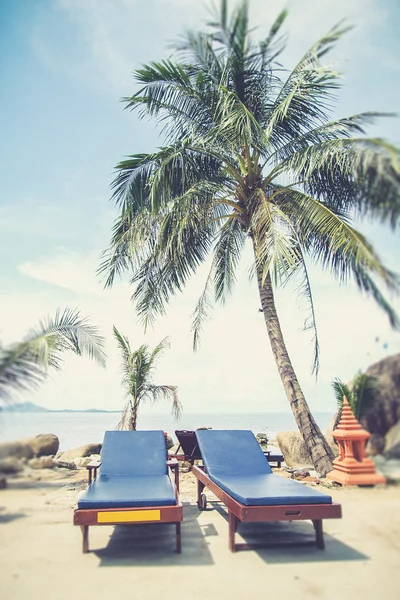 Palmiye ağacı (Vintage filtre etkisi u ile tropikal plaj sandalye — Stok fotoğraf