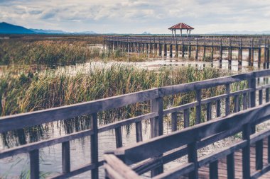 Sam Roi Yod Ulusal Parkı, Prachuap Khiri Khan, (Vintage filtre 