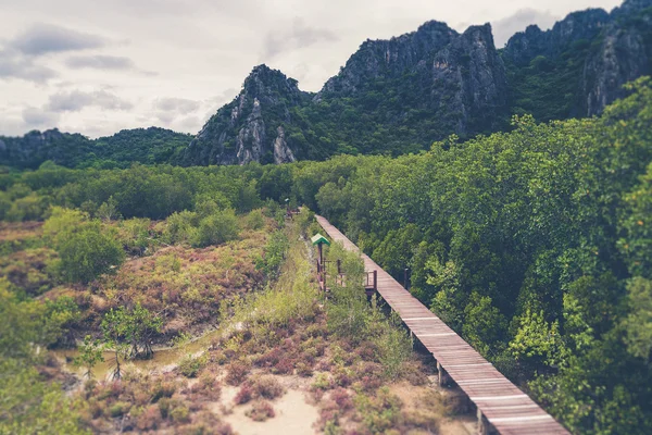 Holzbrücke durch die Wiederaufforstung der Mangroven (Vintage Filter) — Stockfoto