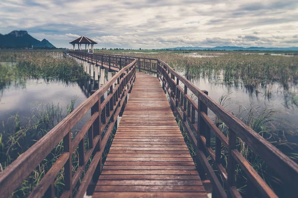 En paviljong med utsikt över ett träsk i Sam Roi Yod National Park, Pr — Stockfoto